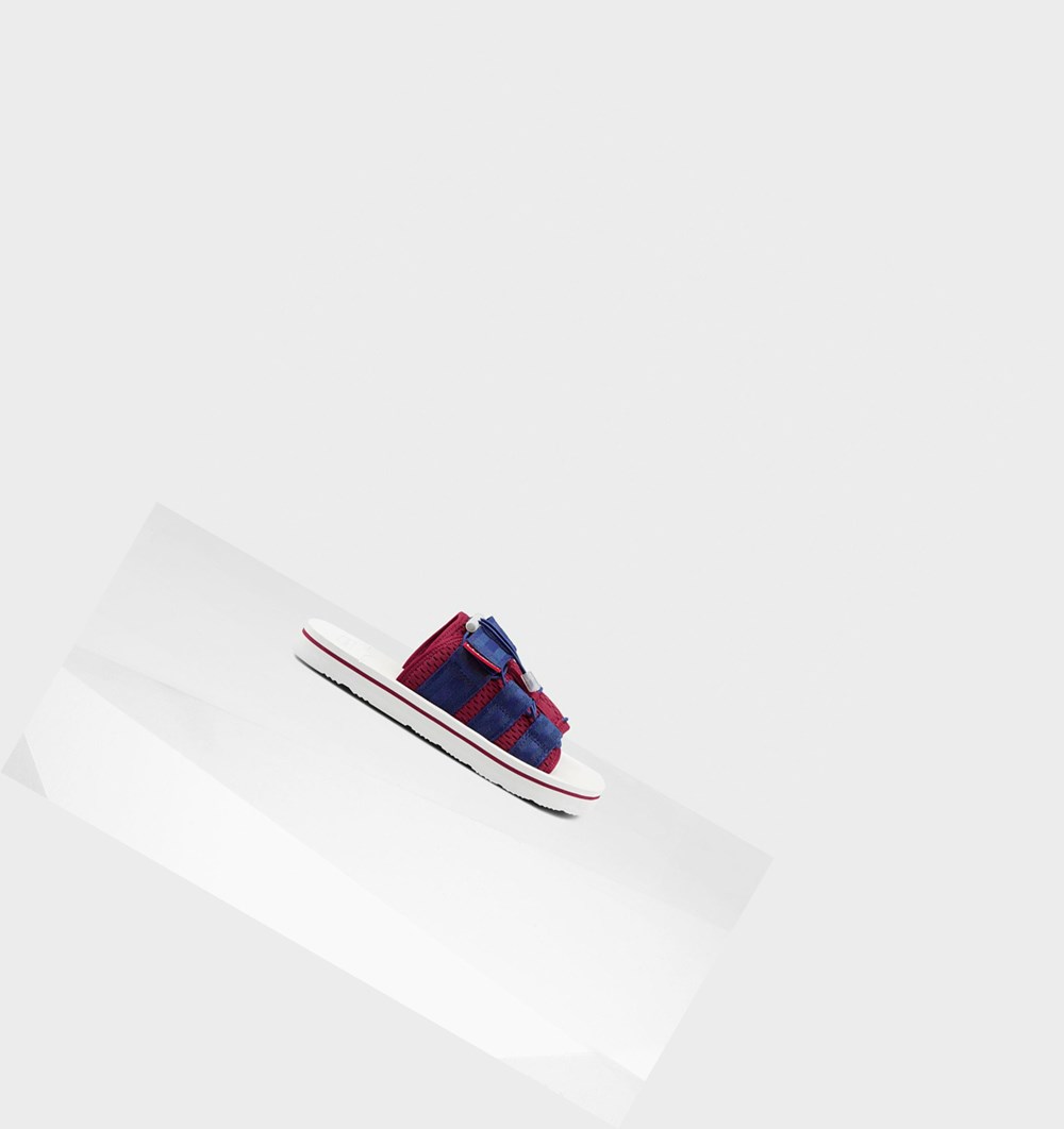 Sandalias de Diapositivas Hunter Original Beach Hombre Blancas Rojas Azules | 437QGDJIU
